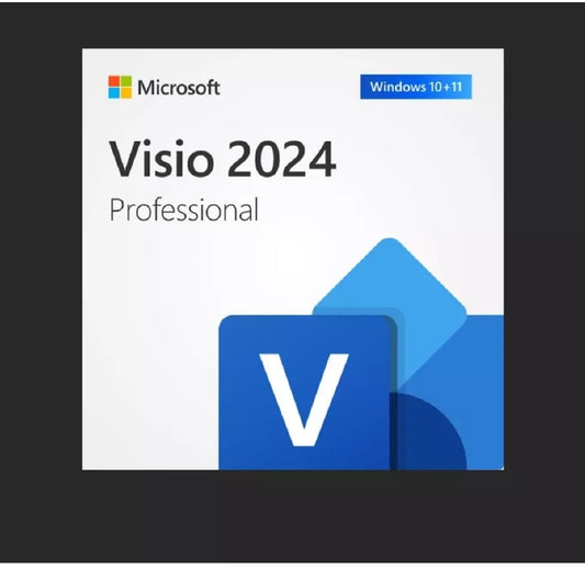 Visio Professional 2024 Windows license