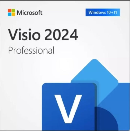 Microsoft Visio Professional 2024 Windows license