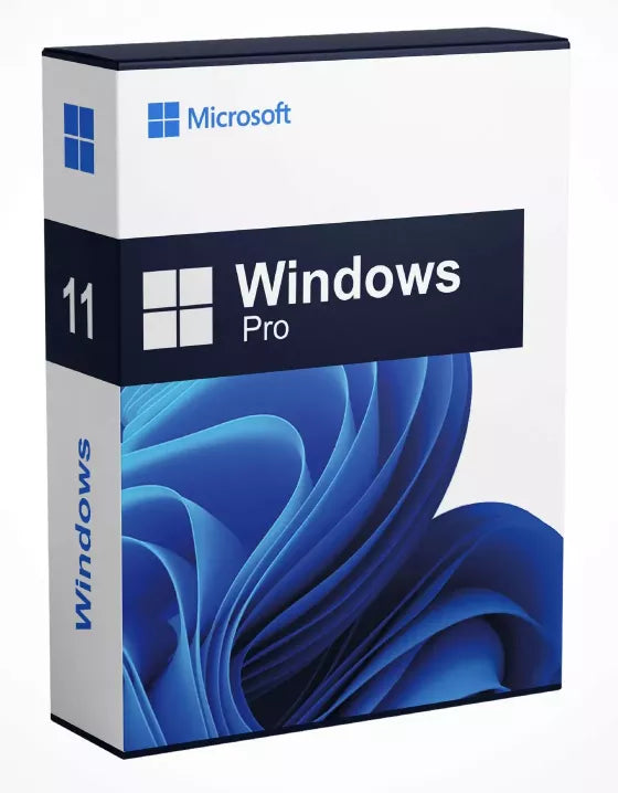 Microsoft Windows 11 professional Lifetime Five PC License