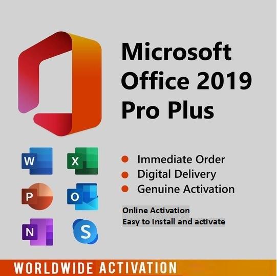 Microsoft Office 2019 Professional Plus for  Windows license - Digital Zone